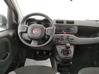 FIAT Panda usata, con Climatizzatore