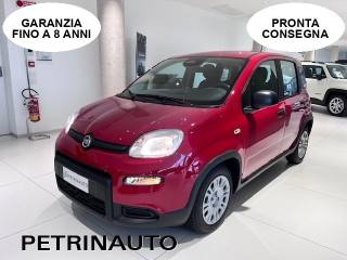 FIAT Panda 1.0 FireFly S&S Hybrid Pack City+Kit 5p Km.0