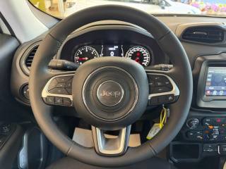 JEEP Renegade usata, con Controllo trazione