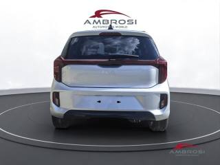 KIA Picanto usata 7