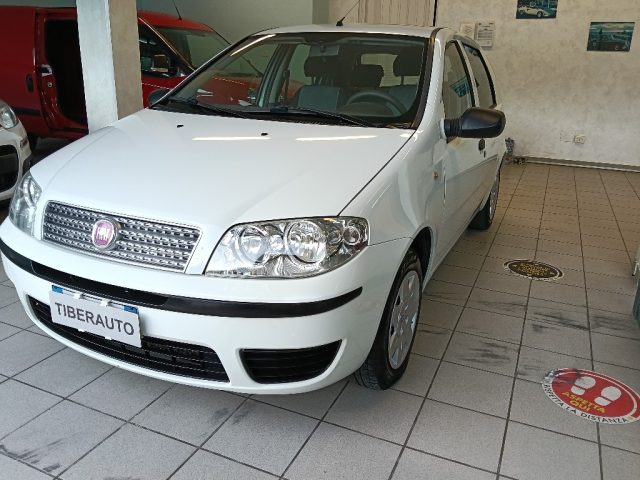 FIAT Punto usata 6