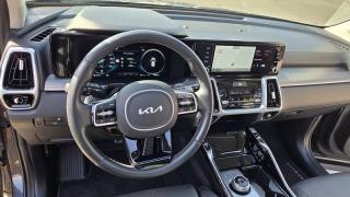 KIA Sorento usata, con Leve al volante
