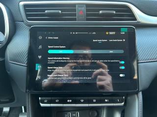 MG ZS usata, con Controllo trazione