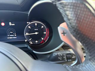 ALFA ROMEO Stelvio usata, con Sensore di pioggia