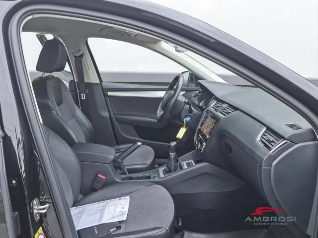 SKODA Octavia usata 11