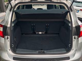 FORD C-Max usata, con Fendinebbia