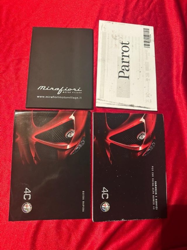 ALFA ROMEO 4C usata, con Controllo trazione