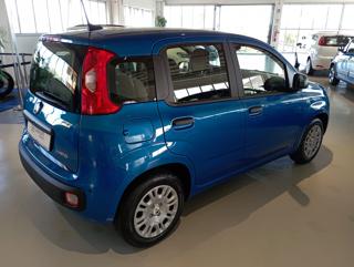 FIAT Panda usata, con Alzacristalli elettrici