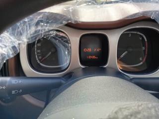 FIAT Panda Cross usata, con Fendinebbia