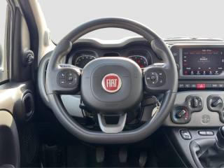 FIAT Panda usata 12