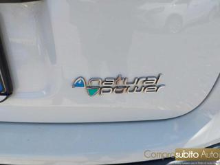 FIAT Panda usata 12
