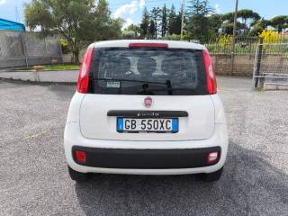 FIAT Panda usata 5