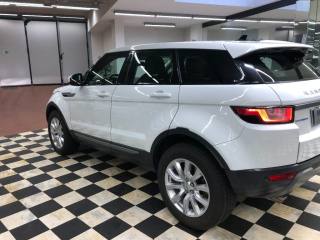 LAND ROVER Range Rover Evoque usata, con Airbag Passeggero