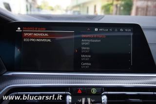 BMW X6 usata, con Bracciolo