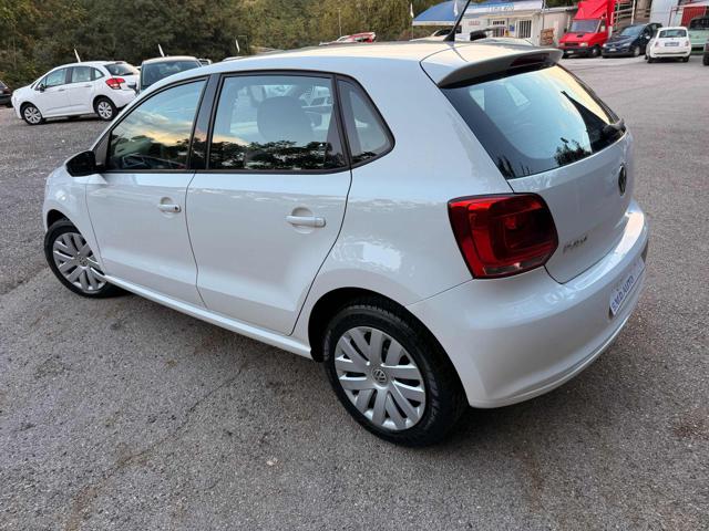 VOLKSWAGEN Polo usata, con Cronologia tagliandi