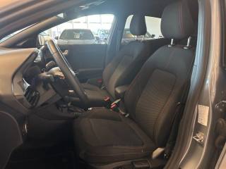 FORD Puma usata, con Cruise Control