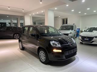 FIAT Panda usata, con Airbag laterali