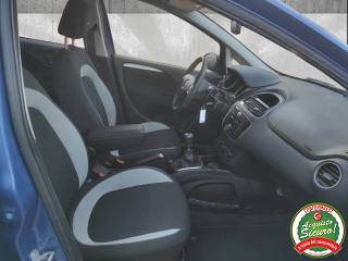 FIAT Punto usata 16