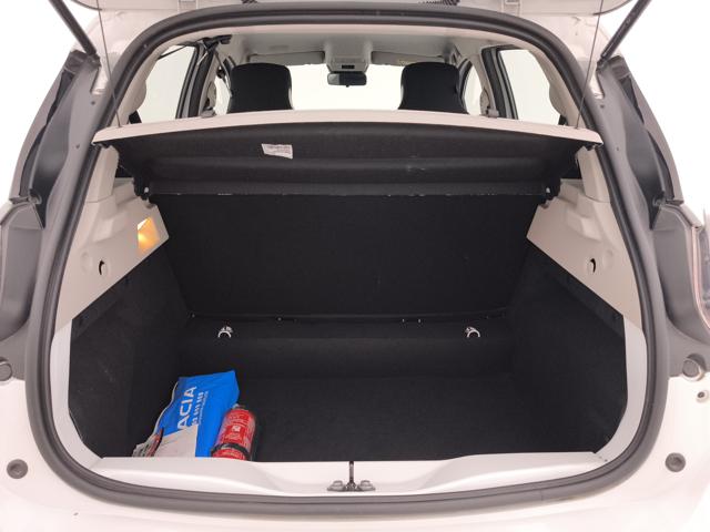 RENAULT ZOE usata, con Volante multifunzione