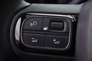 CITROEN C3 Aircross usata, con Volante in pelle