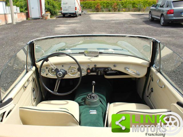 AUSTIN Healey usata 13