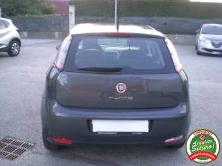FIAT Punto usata, con ESP