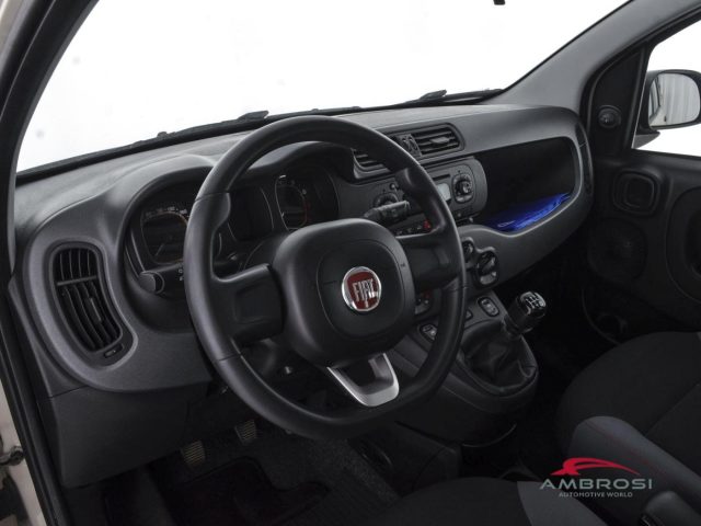 FIAT Panda usata 7