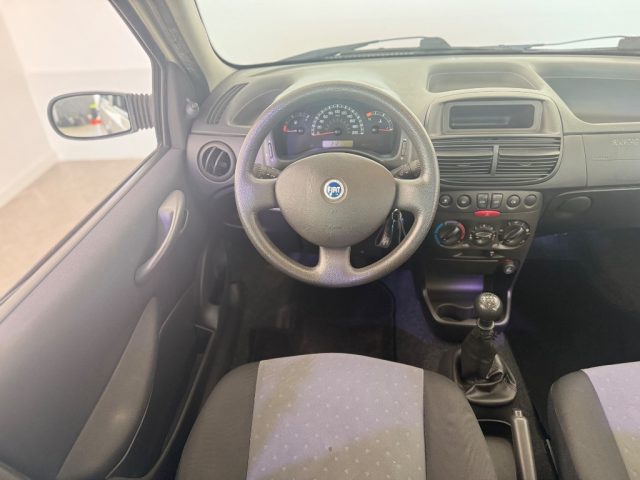 FIAT Punto usata 13