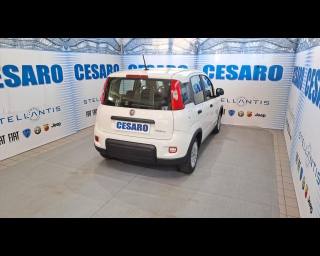 FIAT New Panda usata, con Alzacristalli elettrici