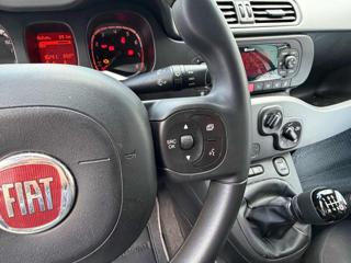 FIAT Panda usata 13