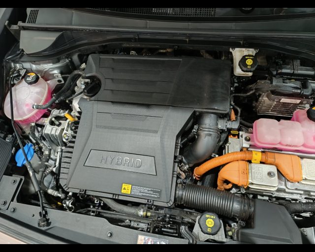 KIA Niro usata 25