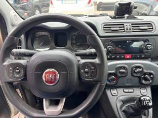 FIAT Panda usata 11