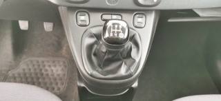 FIAT Panda usata 12