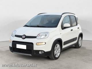 FIAT Panda usata 1