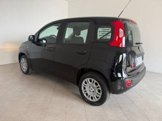 FIAT Pandina usata 1