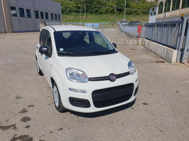 FIAT Pandina usata, con Airbag Passeggero