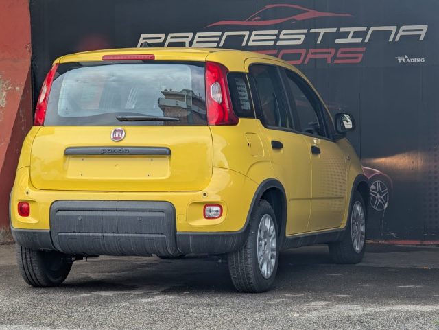 FIAT Panda usata, con Climatizzatore