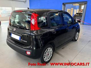 FIAT Panda usata, con Antifurto