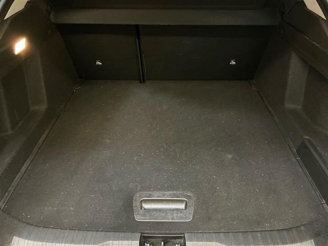 RENAULT Arkana usata 22