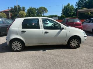 FIAT Punto usata, con Airbag Passeggero