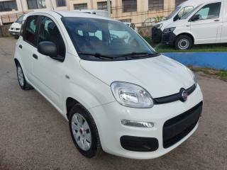 FIAT Panda usata 1