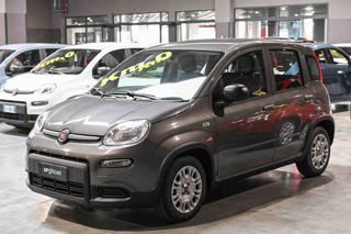 FIAT Panda usata 20