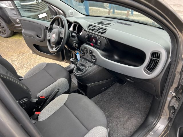 FIAT Panda usata 12