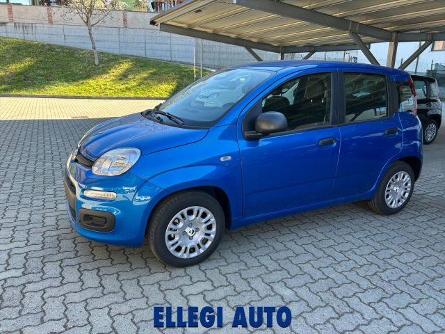 FIAT Panda usata, con Climatizzatore