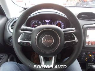JEEP Renegade usata, con Cruise Control