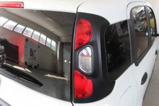 FIAT Panda usata, con Volante multifunzione