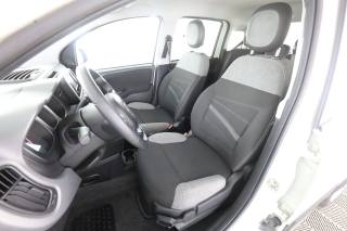 FIAT Panda usata 2