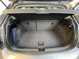 VOLKSWAGEN Polo usata, con Bracciolo