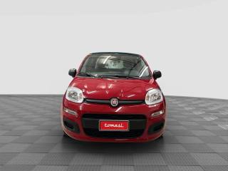 FIAT Panda usata 6