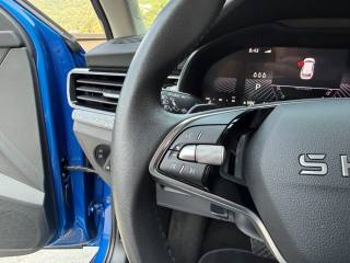 SKODA Kamiq usata, con Cronologia tagliandi